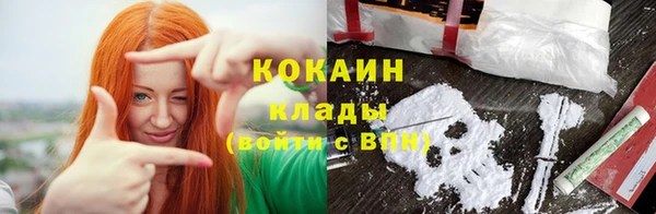 эйфоретик Богданович