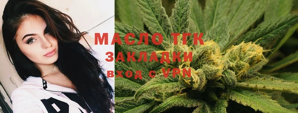 spice Богородицк