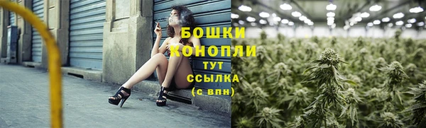 spice Богородицк